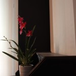 camera arancio 3